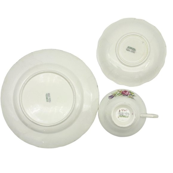 Vintage E. Brain & Co Ltd English Bone China Foley Tulip 8 inch Plate Cup Saucer - Picture 4 of 6
